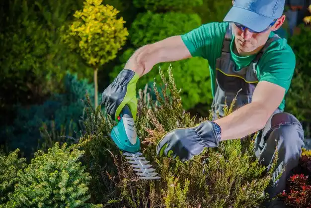 landscaping services St. Clairsville